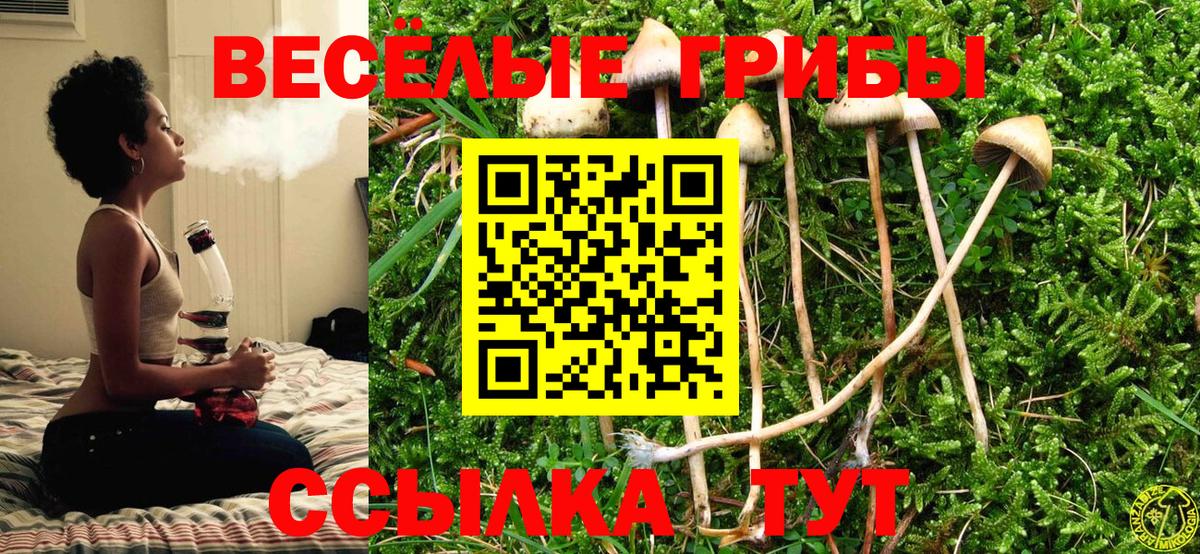 Псилоцибиновые грибы Magic Shrooms Чехов